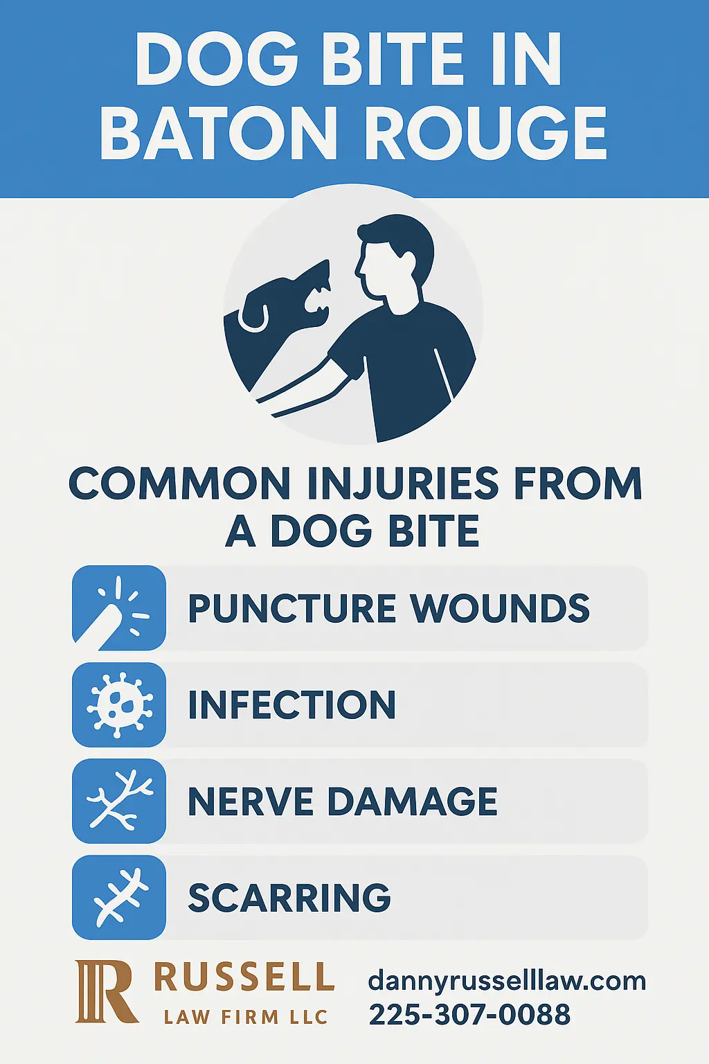 The image shown thta the dog bite common injuries
